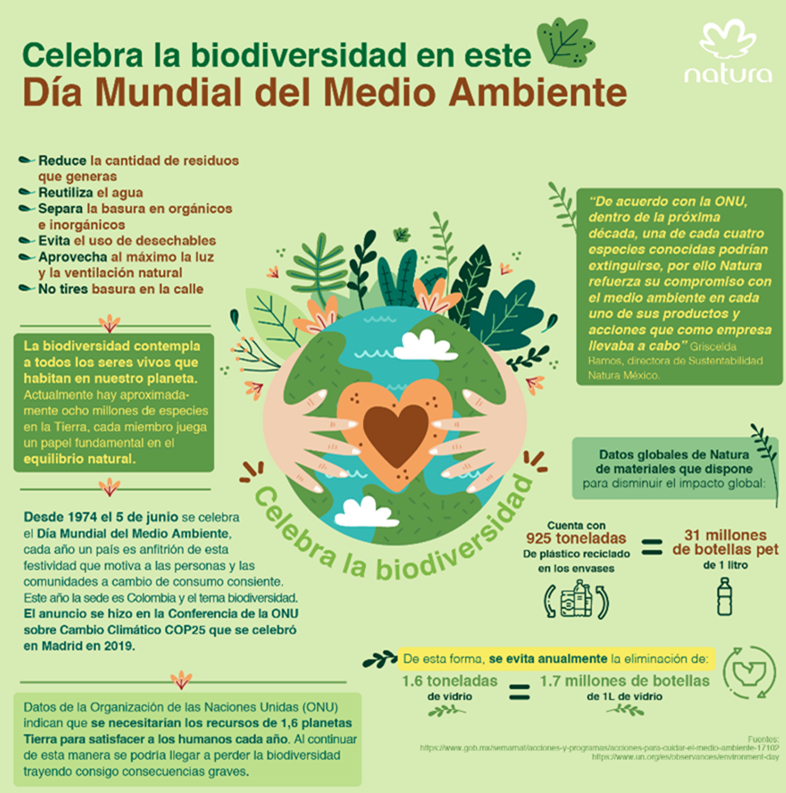 Celebra La Biodiversidad En Este Día Mundial Del Medio Ambiente Estrategia Susentable 7629